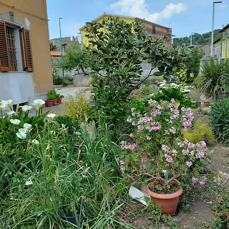 Beb San Nicola Ortueri